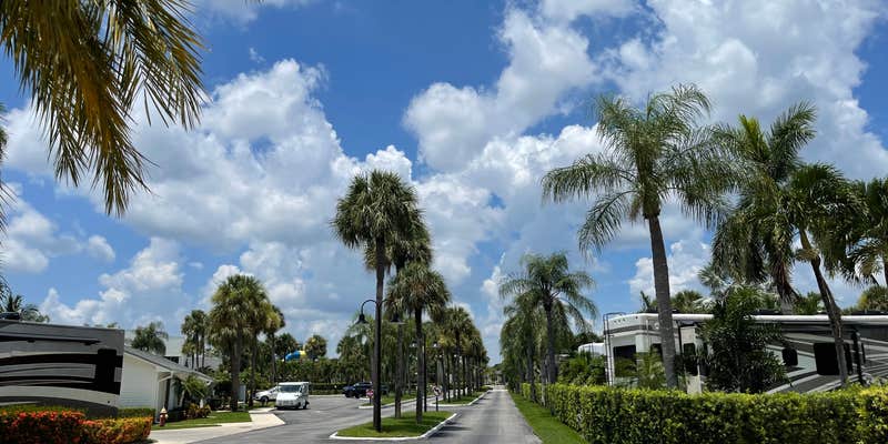 Camper submitted image from Indian River County Blue Cypress Campground