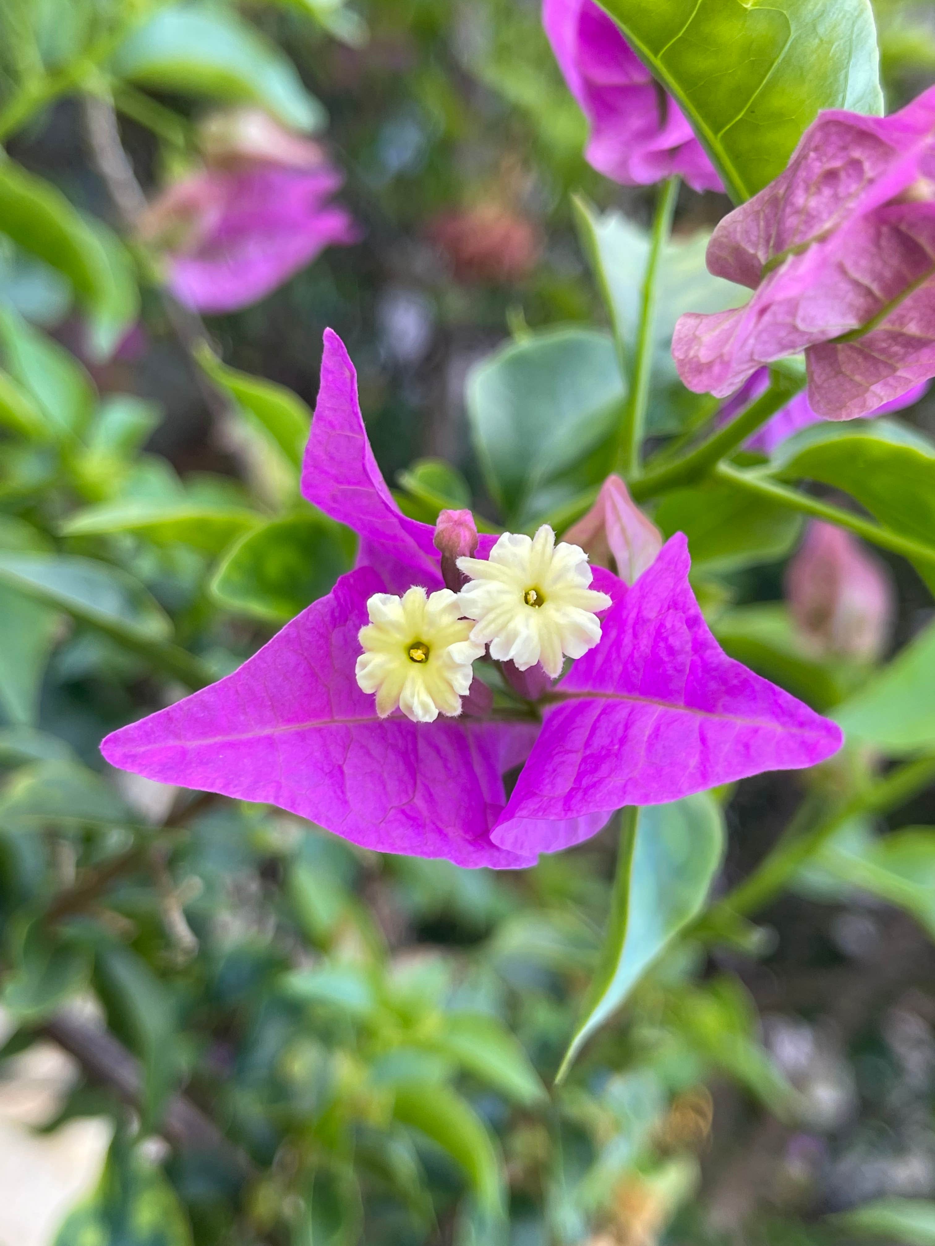 Camper-submitted photo at Indian River County Blue Cypress Campground near Hobe Sound, FL