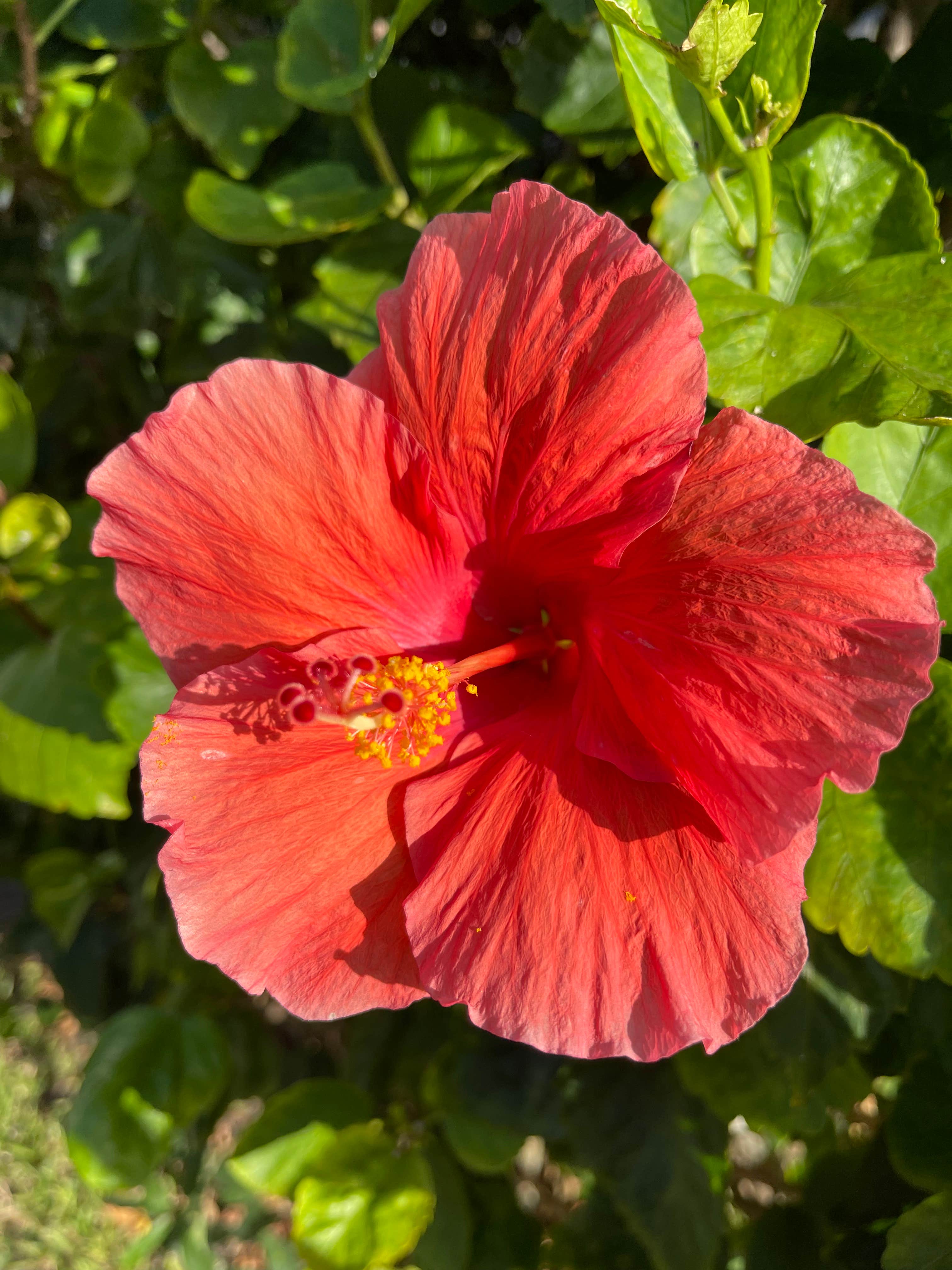 Camper-submitted photo at Indian River County Blue Cypress Campground near Hobe Sound, FL