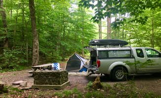 Gavin T.'s photo of rv camping at Devil's Tombstone Campground near Clarksville, NY