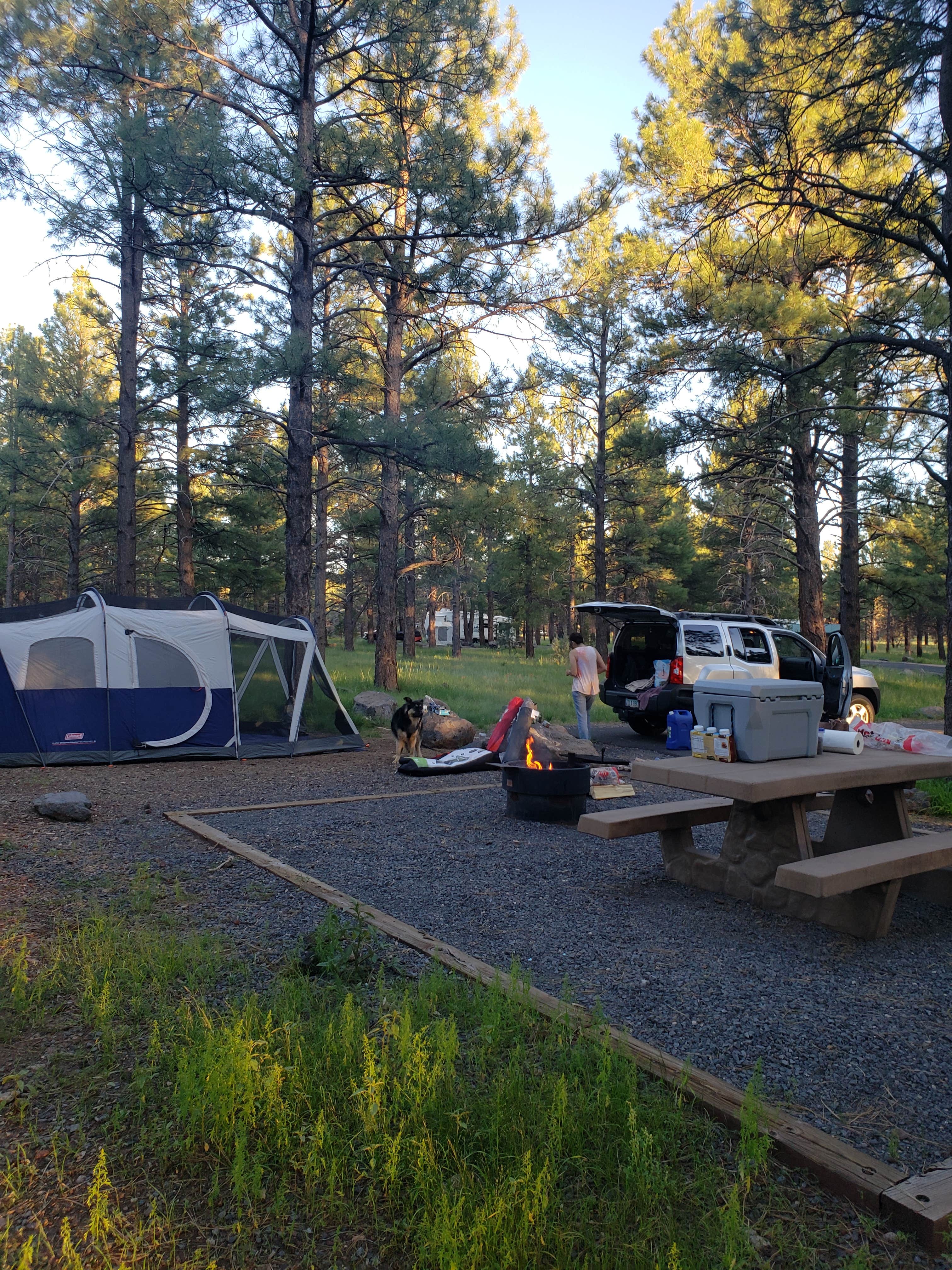 Kaibab National Forest Kaibab Lake Campground The Dyrt