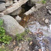 Review photo of Scab Creek Small Vehicle Campground by Andrea F., July 19, 2016
