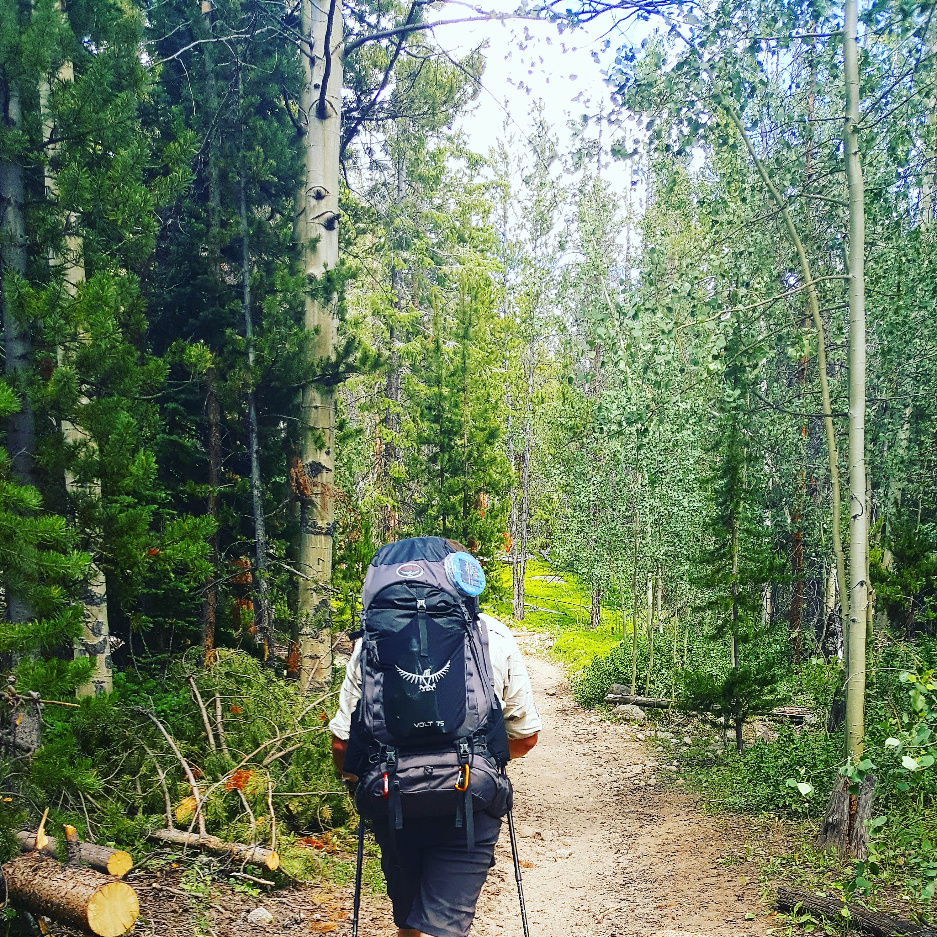 Camping near Big Sandy Campground — Bridger Teton National Forest: Scab Creek Small Vehicle Campground, Boulder, Wyoming