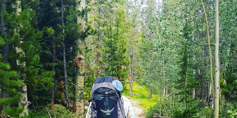 Camper submitted image from Scab Creek Small Vehicle Campground