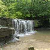 Review photo of Nerstrand Big Woods State Park Campground by Ari A., August 28, 2021