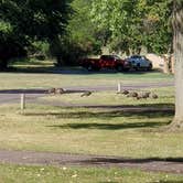 Review photo of Gavins Campground — Lewis And Clark Recreation Area by Sharon N., August 28, 2021