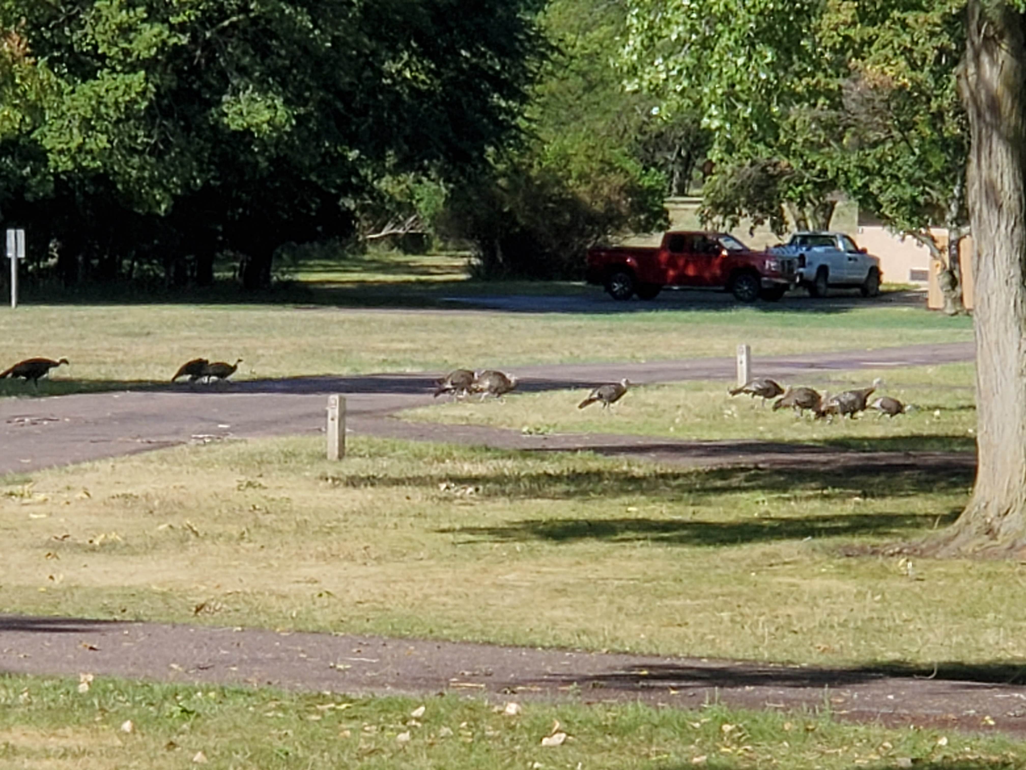 Camper submitted image from Gavins Campground — Lewis And Clark Recreation Area - 4