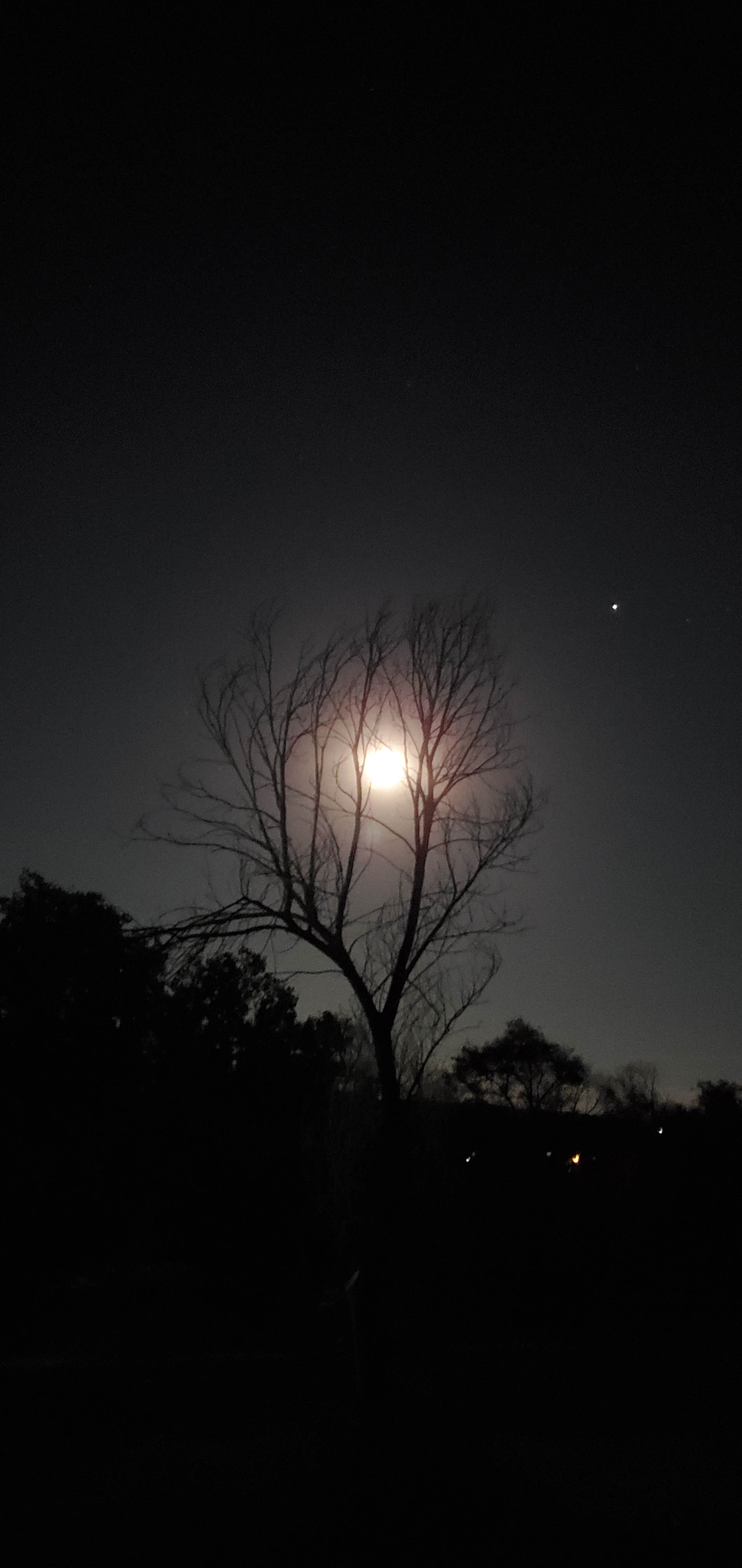 Camper-submitted photo at Round Mountain near Pike and San Isabel National Forests and Cimarron and Comanche National Grasslands