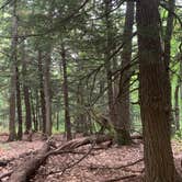 Review photo of Union Bay Campground — Porcupine Mountains Wilderness State Park by Melissa M., August 28, 2021