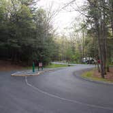 Review photo of Caledonia State Park Campground by Paul B., August 28, 2021