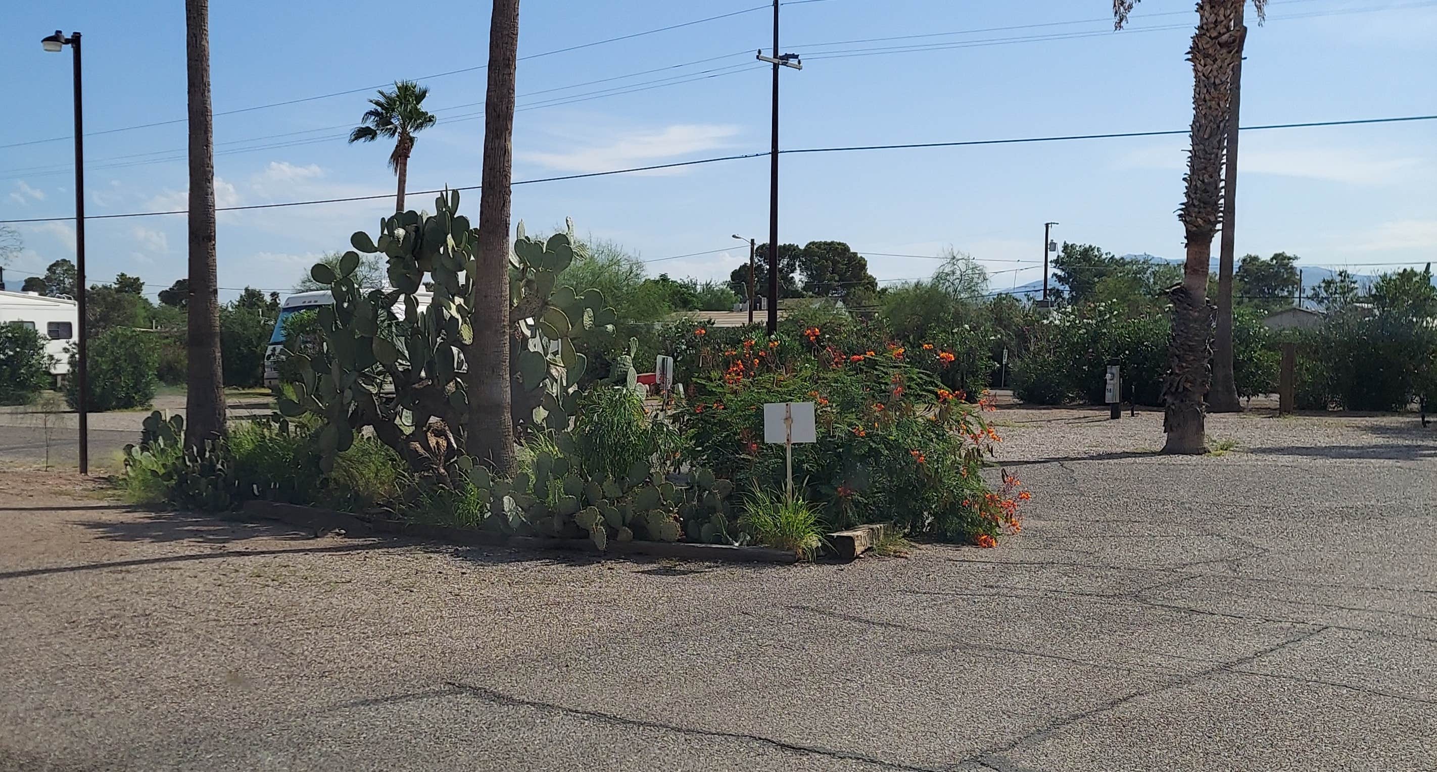 Camper-submitted photo at Crazy Horse RV Park near Tucson, AZ