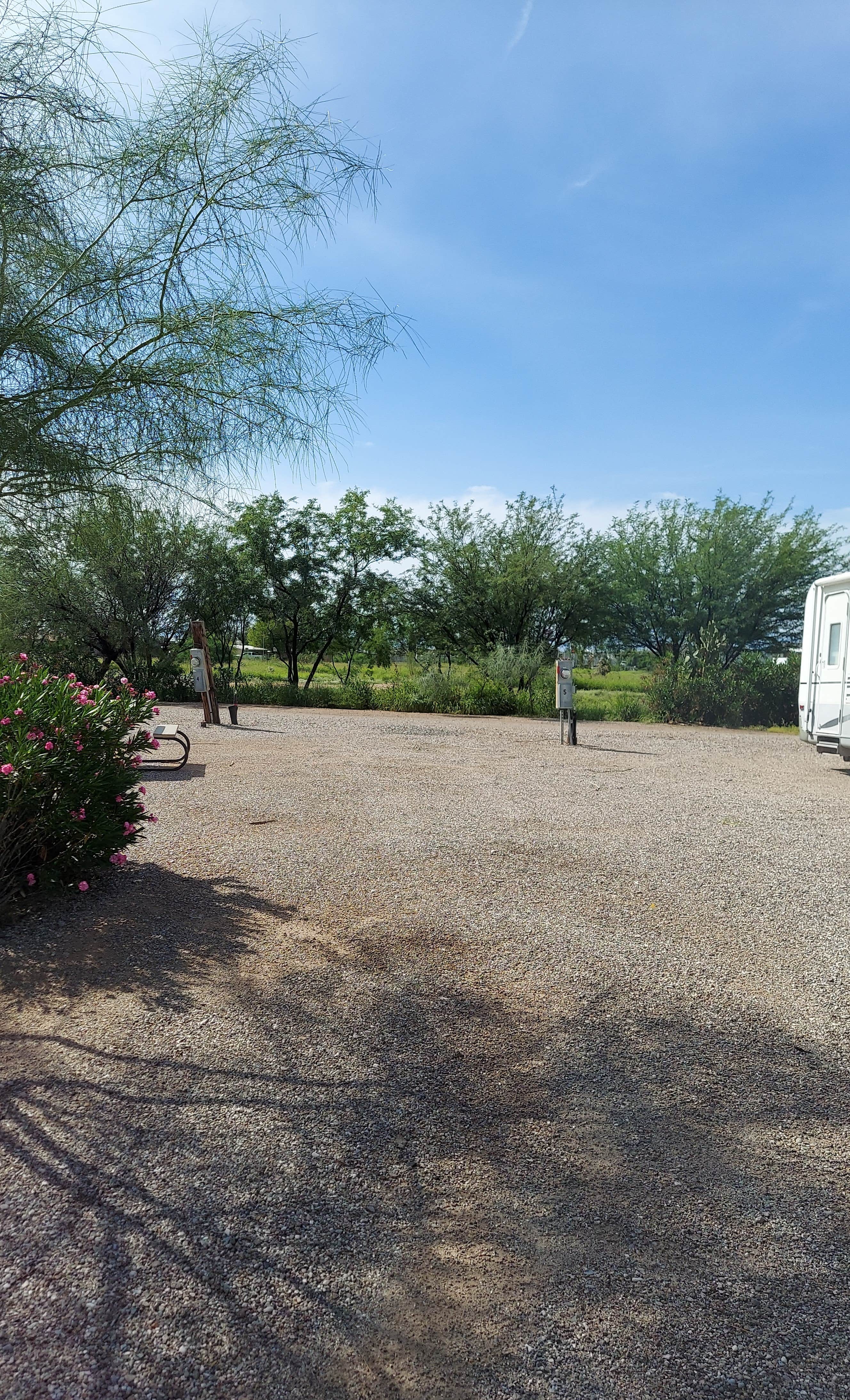 Camper-submitted photo at Crazy Horse RV Park near Tucson, AZ