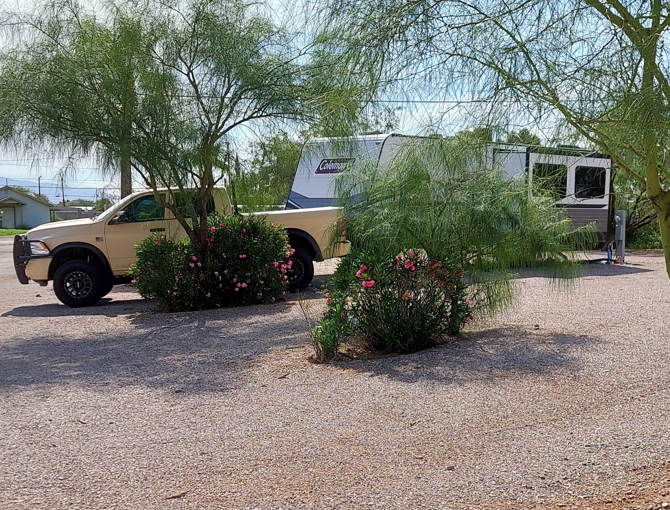 Best camping in Saguaro National Park The Dyrt