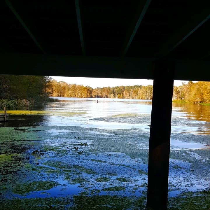 Camper submitted image from South Campground — Chicot State Park - 2
