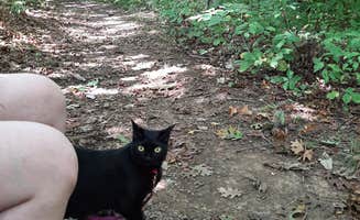 Shirley O.'s photo of camping with pets at Blue Licks Battlefield State Resort Park near Manchester, OH