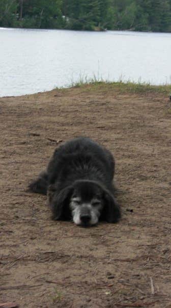 Camper-submitted photo at Fish Creek Pond Campground in New York