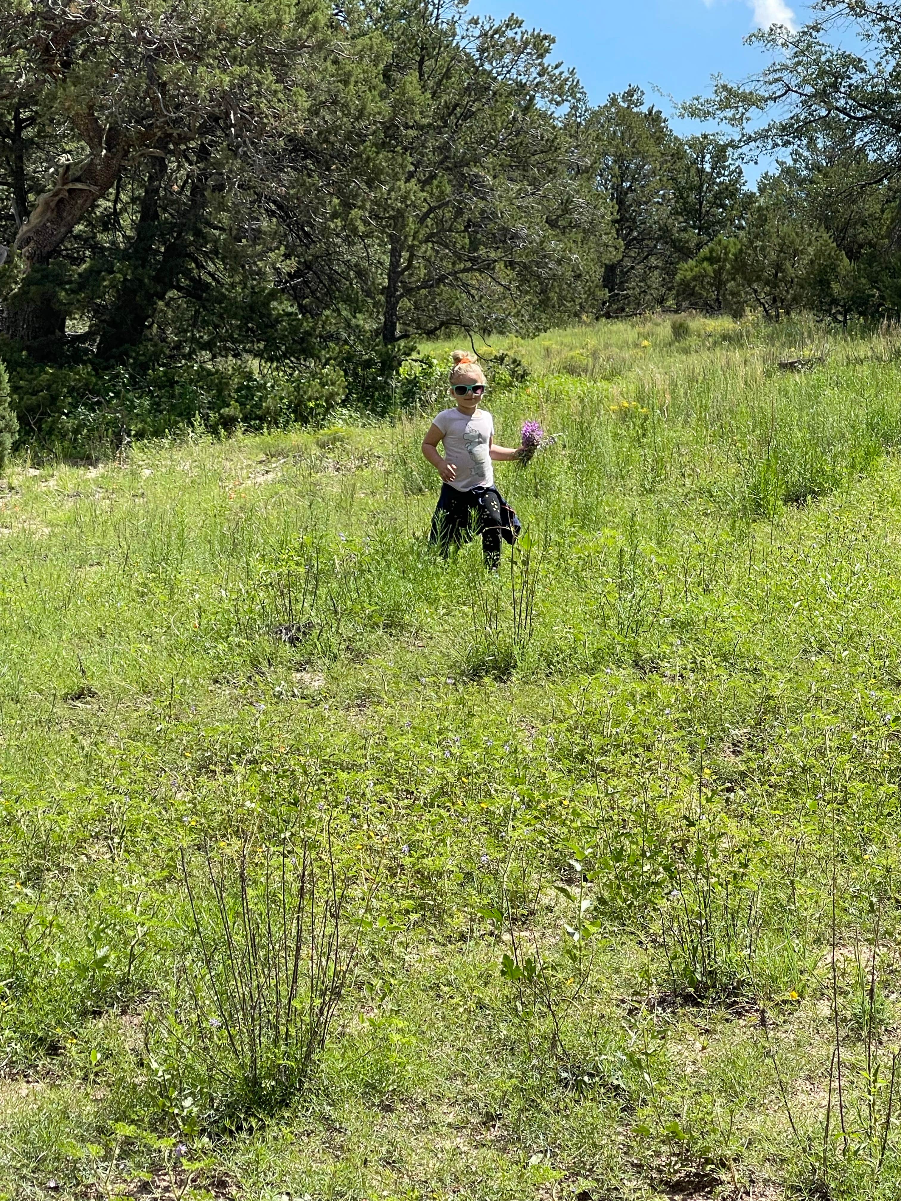 Camper-submitted photo at Burro Mountain Homestead near Gila, NM