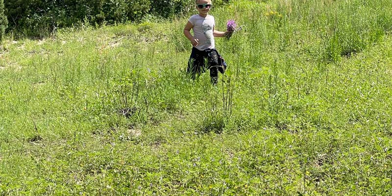 Camper submitted image from Burro Mountain Homestead