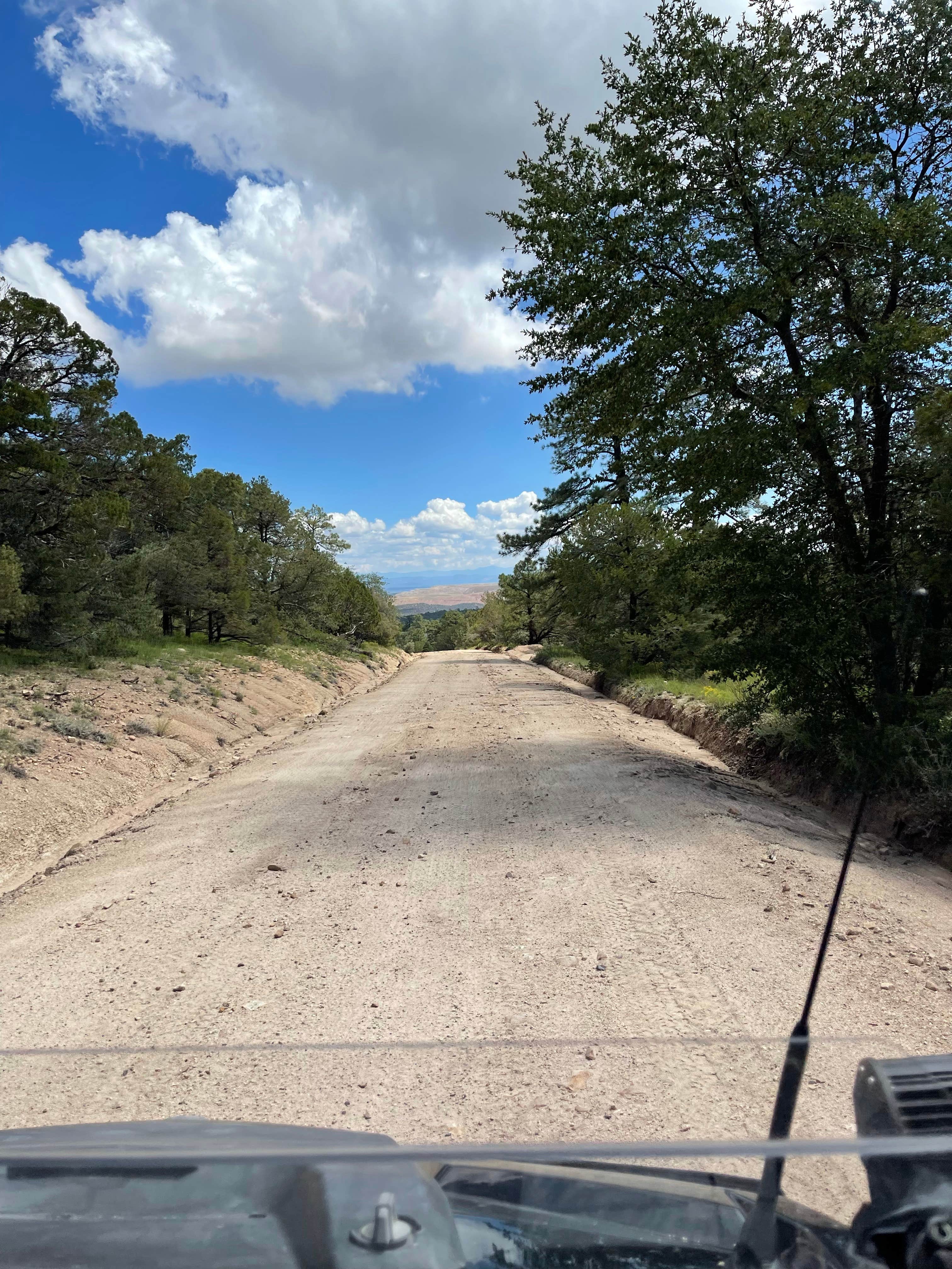 Camper-submitted photo at Burro Mountain Homestead near Gila, NM