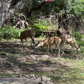 Review photo of Burro Mountain Homestead by radrealtoraz !., August 28, 2021