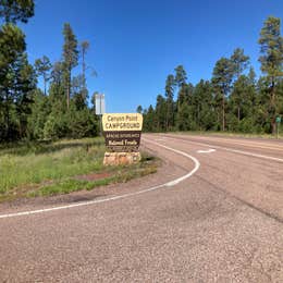 Public Campgrounds: Sitgreaves National Forest Canyon Point Campground