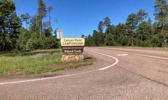 Sitgreaves National Forest Canyon Point Campground