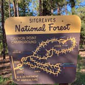 Review photo of Sitgreaves National Forest Canyon Point Campground by Chris P., August 28, 2021