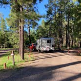 Review photo of Sitgreaves National Forest Canyon Point Campground by Chris P., August 28, 2021