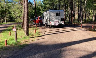 Chris P.'s photo of rv camping at Sitgreaves National Forest Canyon Point Campground near Forest Lakes, AZ