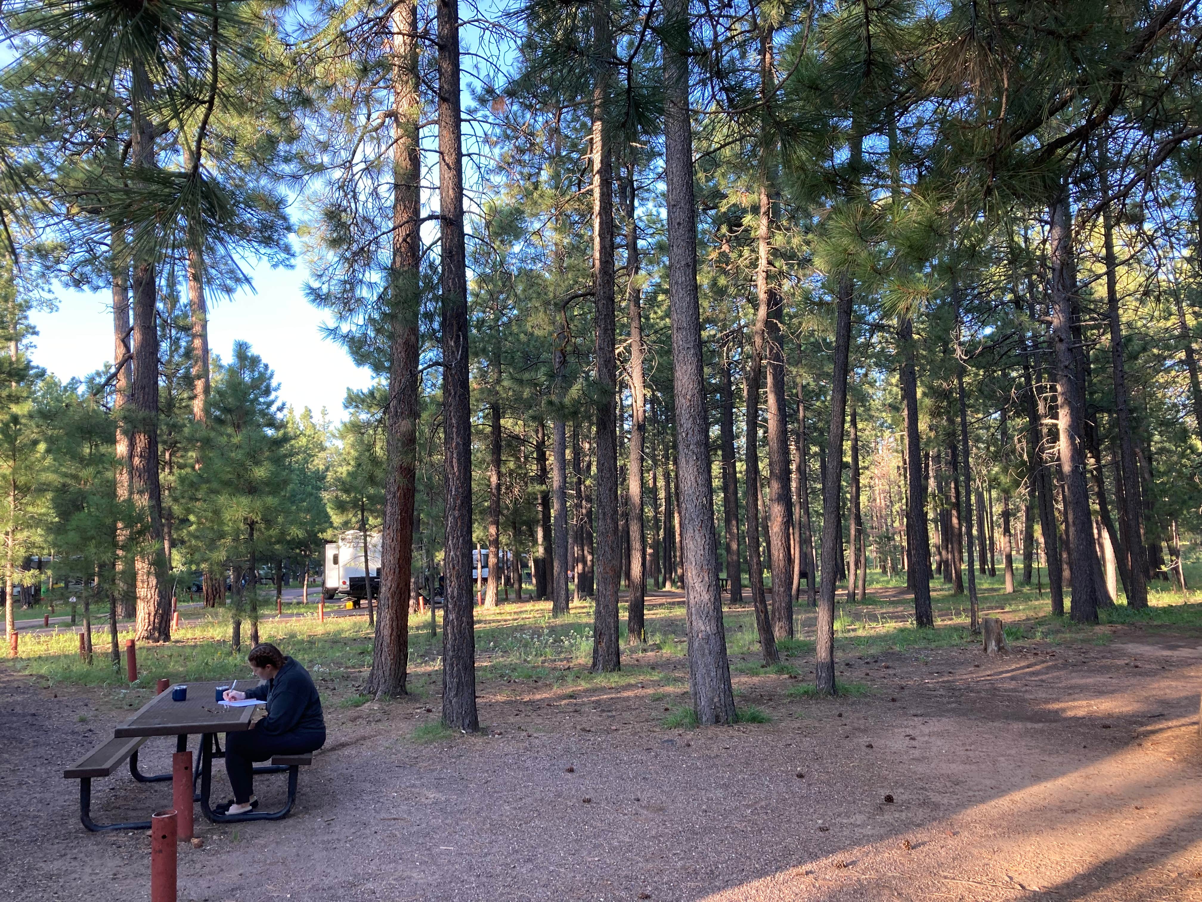 Camper submitted image from Sitgreaves National Forest Canyon Point Campground - 5