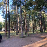 Review photo of Sitgreaves National Forest Canyon Point Campground by Chris P., August 28, 2021