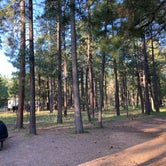 Review photo of Sitgreaves National Forest Canyon Point Campground by Chris P., August 28, 2021