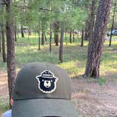 Review photo of Sitgreaves National Forest Canyon Point Campground by Chris P., August 28, 2021