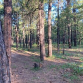 Review photo of Sitgreaves National Forest Canyon Point Campground by Chris P., August 28, 2021