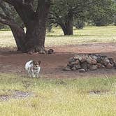 Review photo of Baca Campground by Jamie P., August 28, 2021