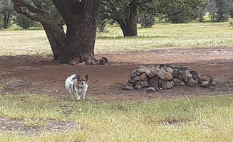 Jamie P.'s photo of camping with pets at Baca Campground near Nogal, NM