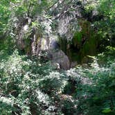 Review photo of Colorado Bend State Park Campground by Jill R., June 20, 2018