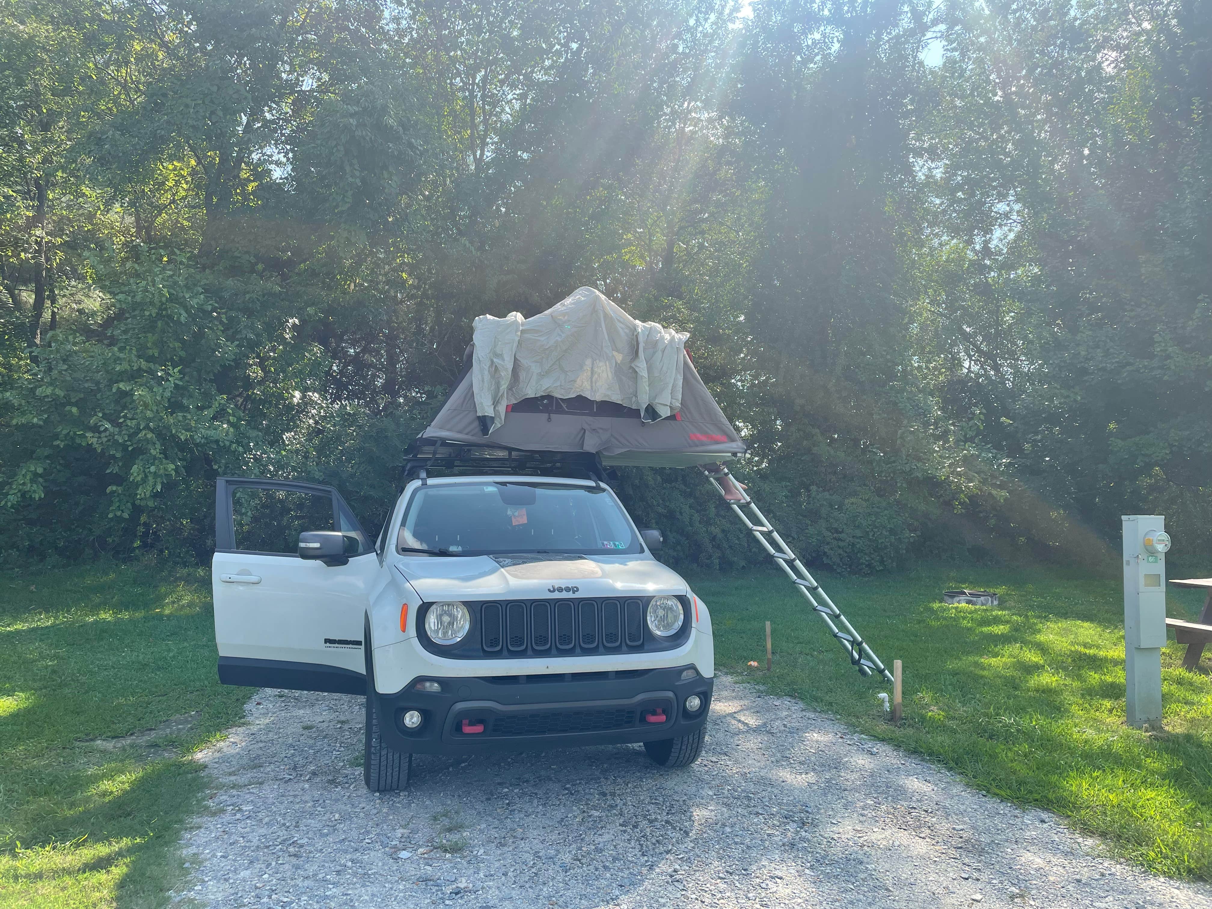 Camper submitted image from Yogi Bear's Jellystone Park At Delaware Beaches - 3