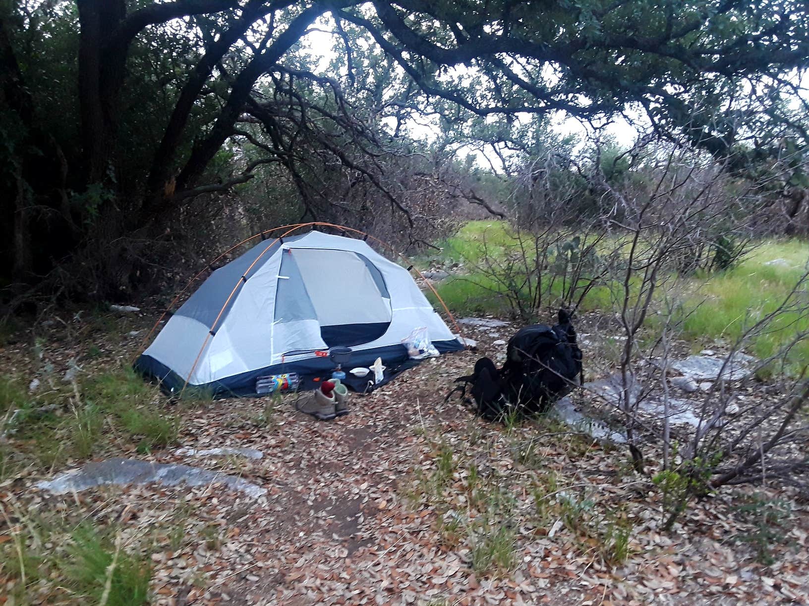 Jill R.'s photo at South Area — Colorado Bend State Park Campground near Buchanan Dam, TX