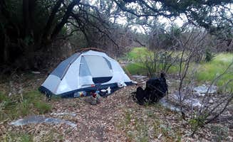 Jill R.'s photo at South Area — Colorado Bend State Park Campground near Copperas Cove, TX
