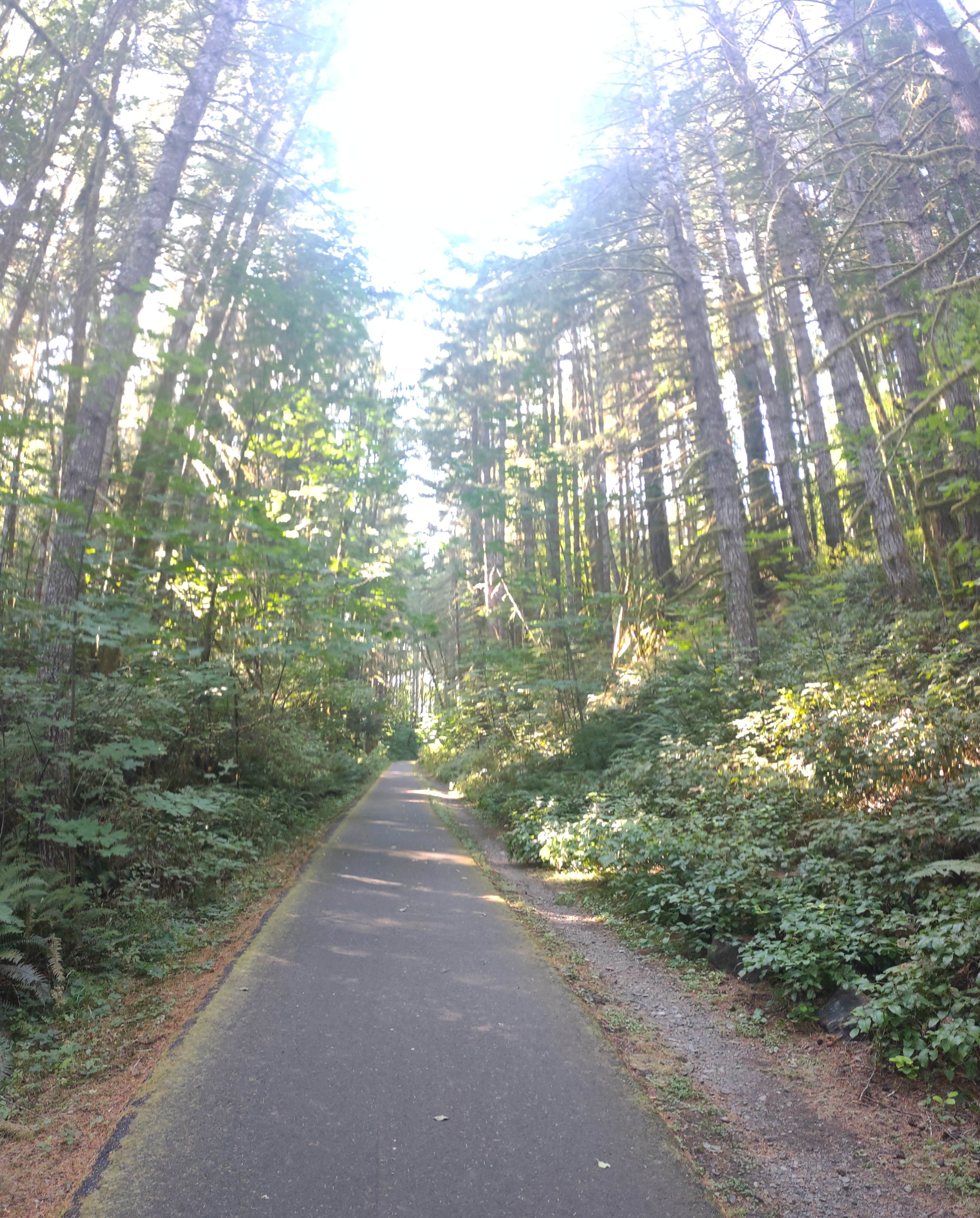 Best camping near Astoria, Oregon The Dyrt