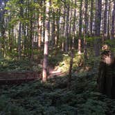 Review photo of L.L. Stub Stewart State Park Campground by OregonSteve , August 28, 2021