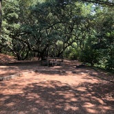 Review photo of First Landing State Park Campground by Erin W., August 29, 2021