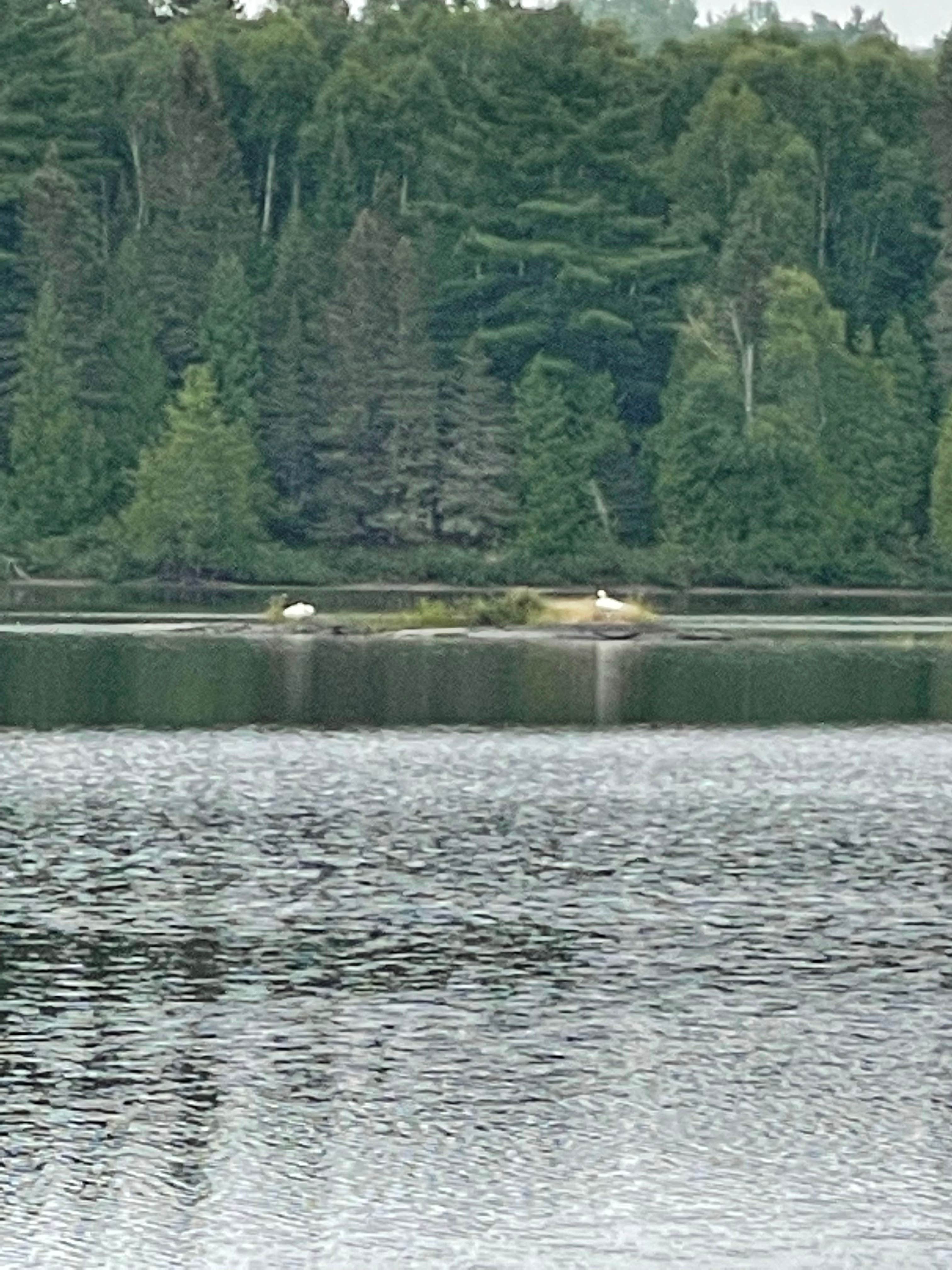 Camper-submitted photo at West Chickenbone Campground — Isle Royale National Park near Isle Royale National Park