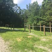 Review photo of High Knob Campgrounds by Shelly S., June 21, 2018