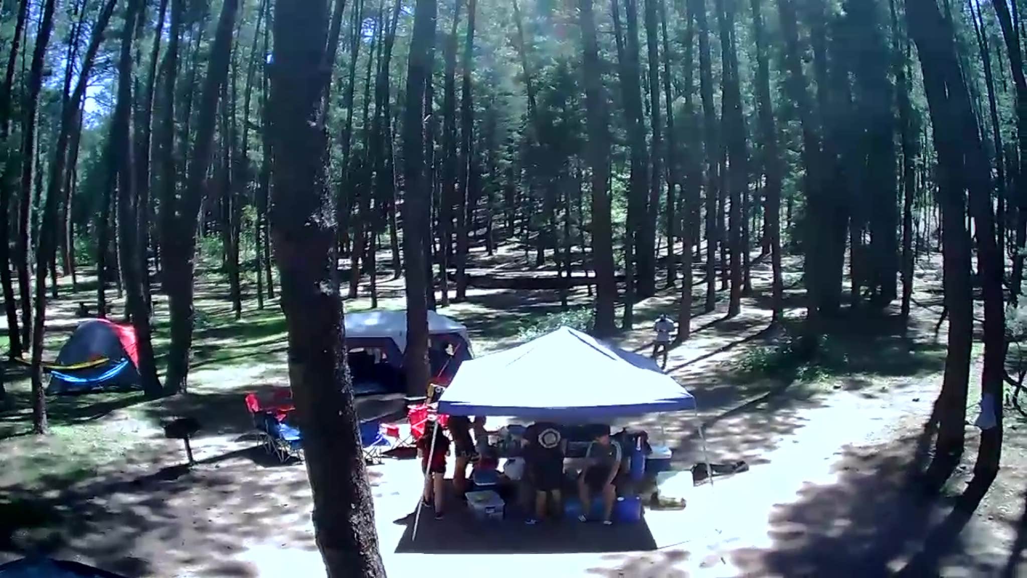 Best camping near Payson, Arizona The Dyrt