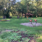Review photo of T. F. Clark Co Park by Kerry M., August 29, 2021