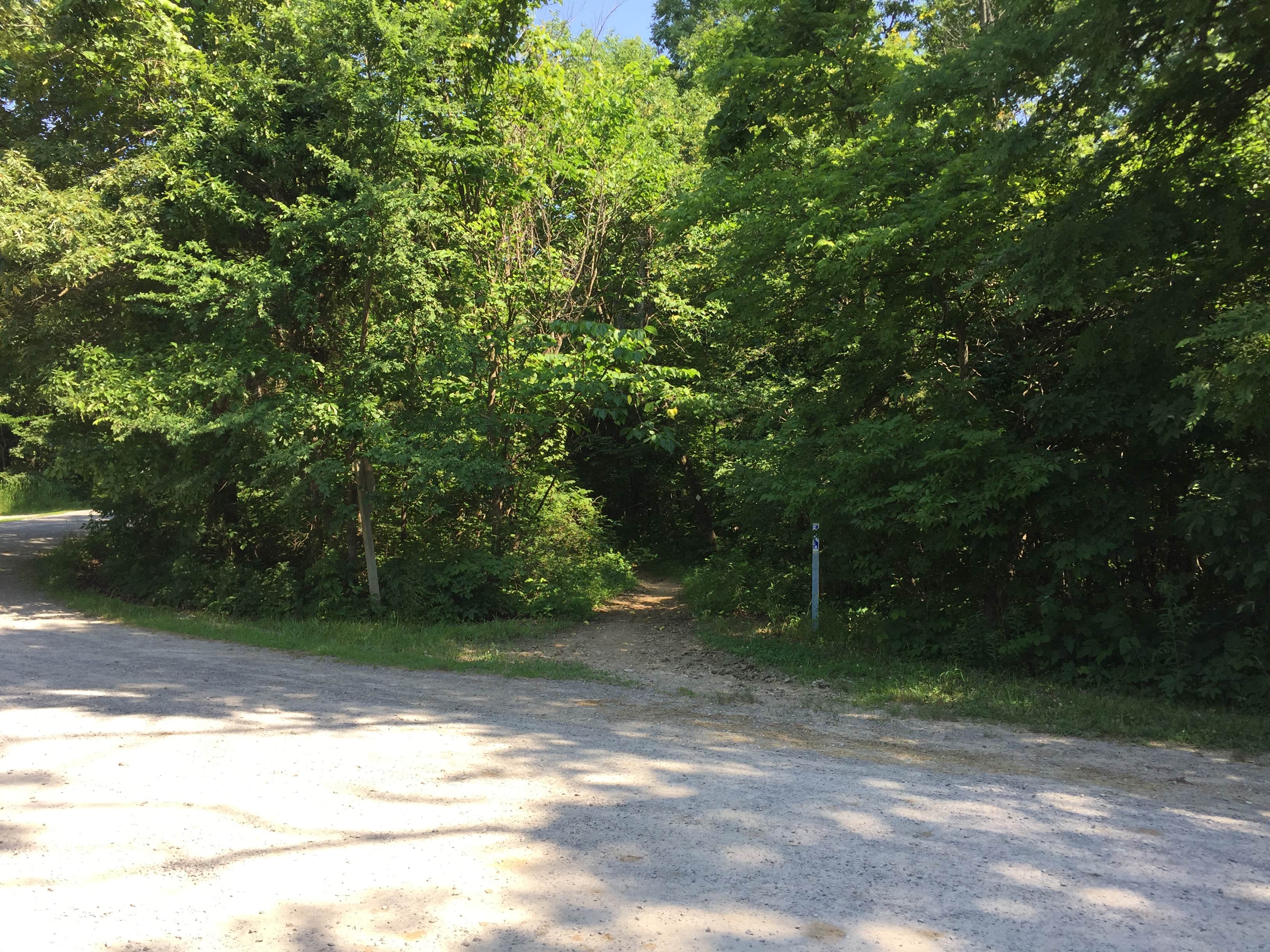 Camper-submitted photo at High Knob Campgrounds near Karbers Ridge, IL