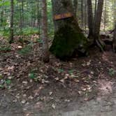Review photo of Papoose Pond Family Campground and Cabins by Tereena R., August 29, 2021