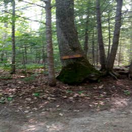 Papoose Pond Family Campground and Cabins